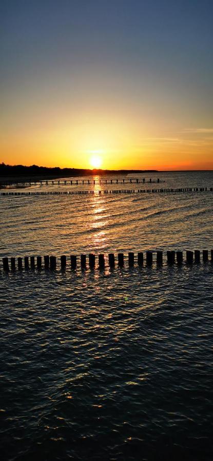 Apartment Flaschenpost Zingst